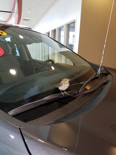 Car Dealer «Classic Toyota», reviews and photos, 515 N Green Bay Rd, Waukegan, IL 60085, USA