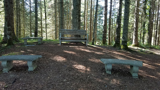 Performing Arts Theater «Snoqualmie Falls Forest Theater», reviews and photos, 36800 SE David Powell Rd, Fall City, WA 98024, USA