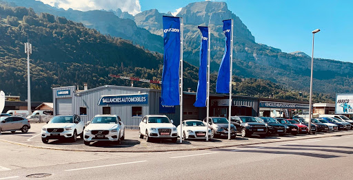 Photo 4 - Autodistribution