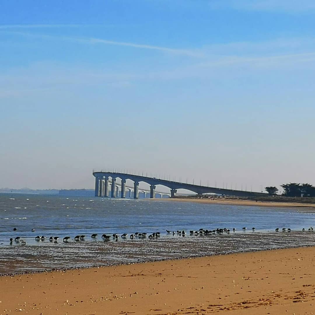 Photo n° 1 de l'avis de Lina. fait le 05/03/2019 à 23:44