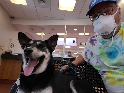 Humane Society of Utah image