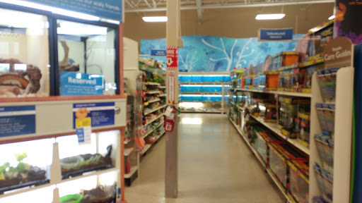 Pet Supply Store «PetSmart», reviews and photos, 466 S Watson Rd, Buckeye, AZ 85326, USA