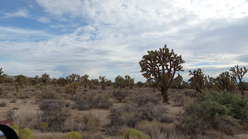 Lottery Retailer «The Lotto Store at Primm», reviews and photos, 31900 S Las Vegas Blvd, Jean, CA 89019, USA