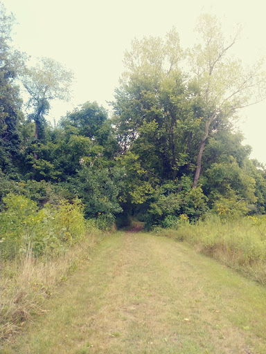 Nature Preserve «Hoover Forest Preserve», reviews and photos, 11285 W Fox Rd, Yorkville, IL 60560, USA