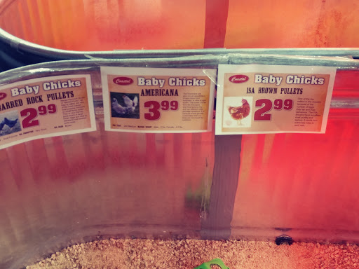 Department Store «Coastal Farm & Ranch», reviews and photos, 2112 S 1st St, Yakima, WA 98903, USA