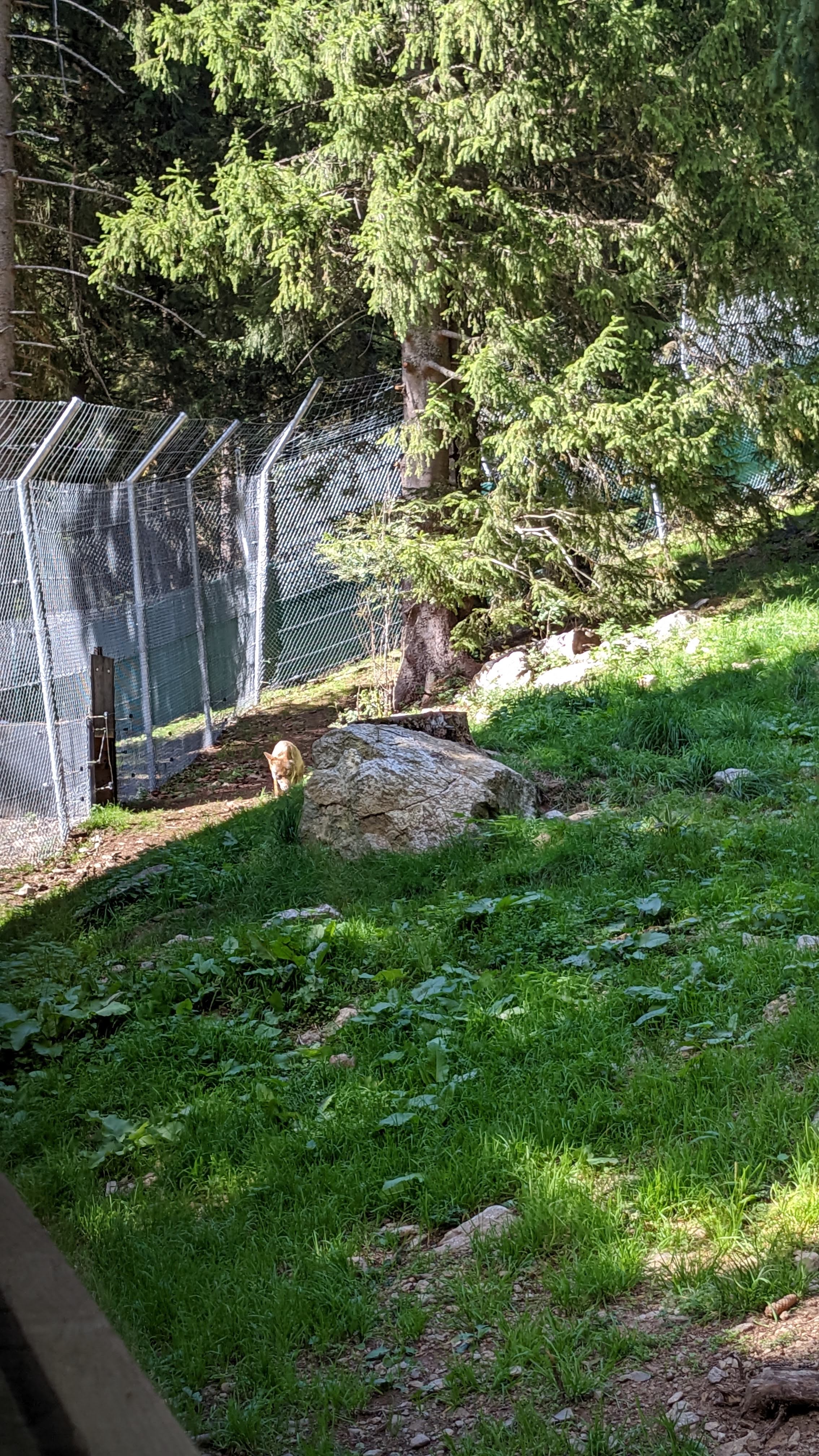 Photo n° 17 de l'avis de Florian.o fait le 11/09/2022 à 15:52