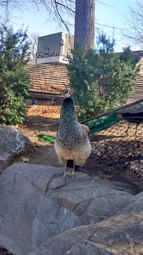 Zoo «Durhams Bear Canyon», reviews and photos, 3701 S 10th St, Omaha, NE 68107, USA