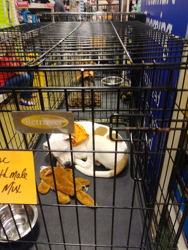 Pet Supply Store «PetSmart», reviews and photos, 479 River Hill Dr, Ashland, KY 41101, USA