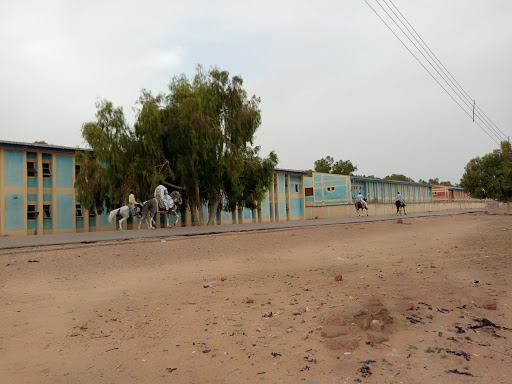 JSIIT Hostel Gate, -Border, Kano-Daura Border Rd, Kazaure, Nigeria, Software Company, state Jigawa