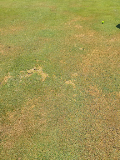 Golf Course «Evergreen Golf Course», reviews and photos, 1503 Lititz Rd, Manheim, PA 17545, USA