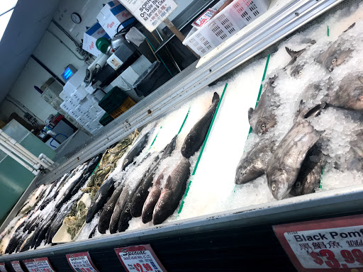 Supermarket «Lion Food Center», reviews and photos, 39055 Cedar Blvd # 168, Newark, CA 94560, USA