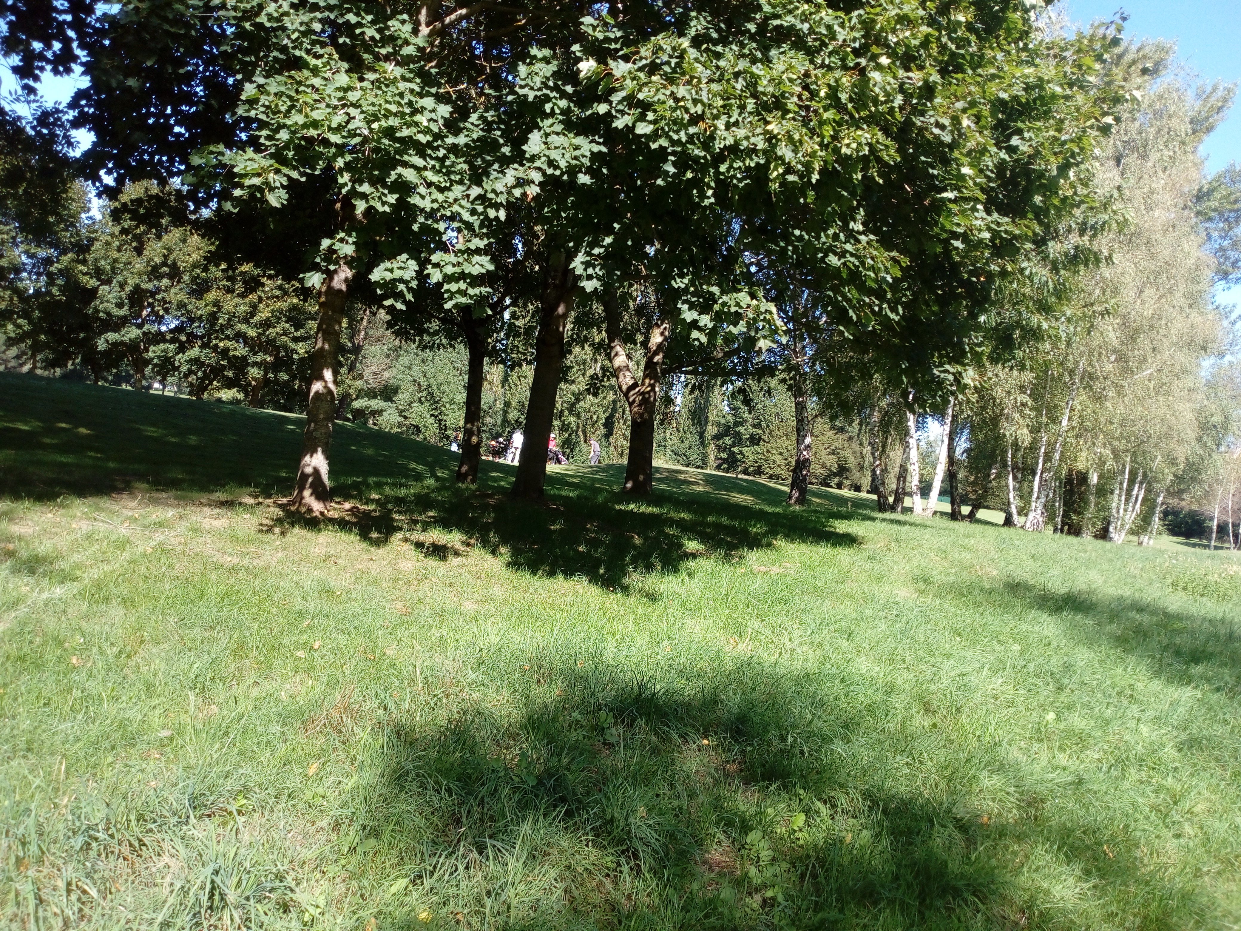 Photo n° 6 de l'avis de Delbart.e fait le 29/09/2019 à 12:17