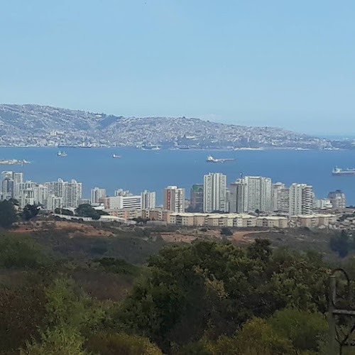 Pacífico Nte., Viña del Mar, Valparaíso, Chile