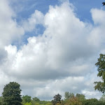 Photo n° 1 de l'avis de Valentine.a fait le 03/08/2023 à 15:27 pour Parc Botanique de Cornouaille à Combrit