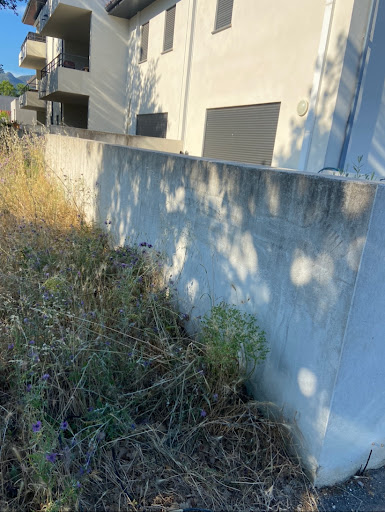 Image de l'entreprise Des Artisans Réunis