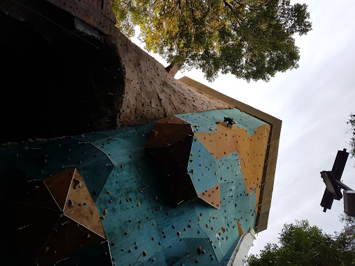 Fusion climbing wall Climbing Center