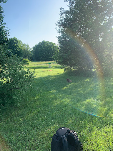 Disc Golf Course «Hudson Mills Disc Golf Course», reviews and photos, 8801 N Territorial Road, Dexter, MI 48130, USA