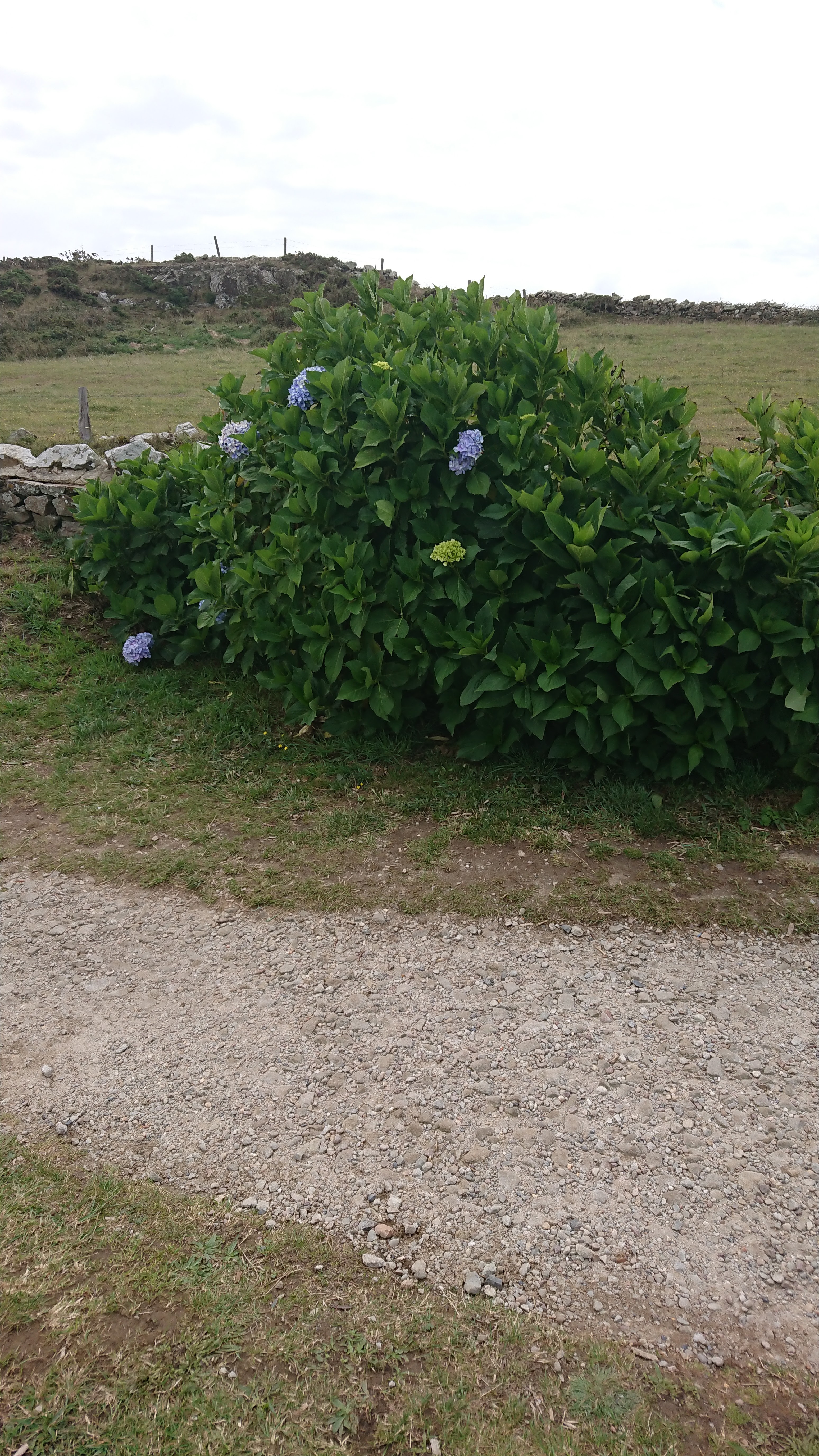 Photo n° 20 de l'avis de Ignacio.. fait le 15/08/2019 à 11:16