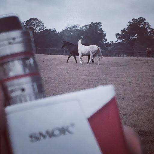 Vaporizer Store «Vapor Spot & Smoke Shop», reviews and photos, 2637 SW College Rd, Ocala, FL 34471, USA