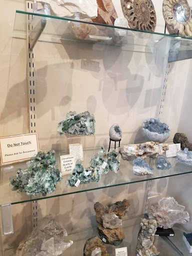 Gift Shop «Sea Shell Shop», reviews and photos, 119 Rehoboth Ave, Rehoboth Beach, DE 19971, USA