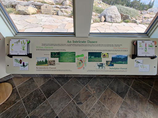 Nature Preserve «Mount Goliath Natural Area», reviews and photos, Mt Evans Rd, Evergreen, CO 80439, USA