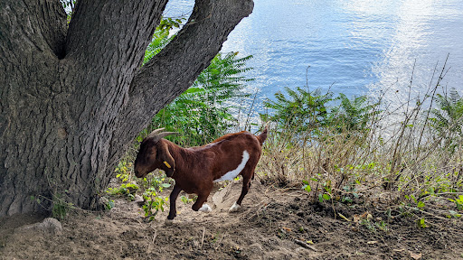 Park «Horizon Park», reviews and photos, High St, Belleville, MI 48111, USA