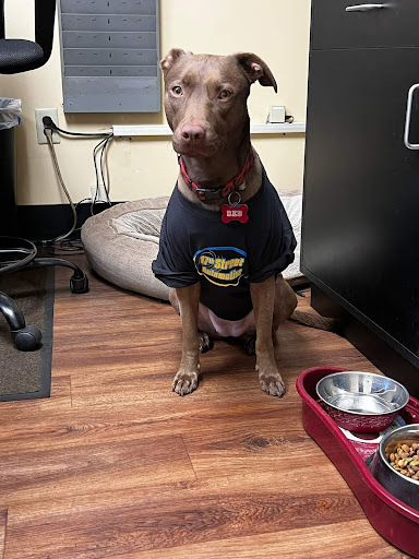 Auto Repair Shop «17th Street Automotive», reviews and photos, 312 Virginia Beach Blvd, Virginia Beach, VA 23451, USA