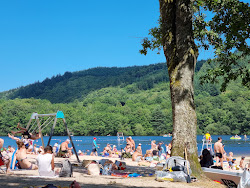 Plage du Lac des Bariousses'in fotoğrafı imkanlar alanı