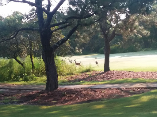 Golf Club «Santa Rosa Golf & Beach Club», reviews and photos, 334 Golf Club Dr, Santa Rosa Beach, FL 32459, USA