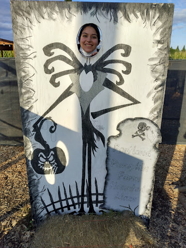 Used Car Dealer «Ron Tonkin Dealerships Used Cars», reviews and photos, 9008 SW Canyon Rd, Portland, OR 97225, USA