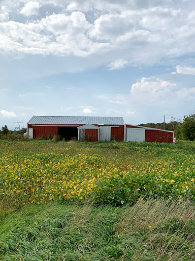 Mosque «Medina Community Center», reviews and photos, 3200 Mill St, Hamel, MN 55340, USA