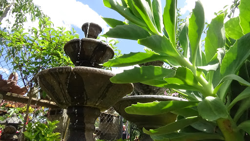 Market «Rising Up Garden Center, Landscape Design, & Florist», reviews and photos, 1314 St George Ave, Avenel, NJ 07001, USA