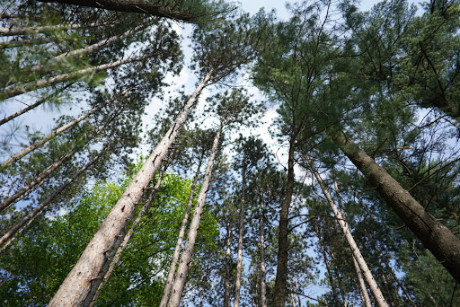 Bait Shop «North Park Sports Shop», reviews and photos, 897 E Ingomar Rd, Allison Park, PA 15101, USA