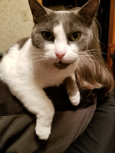 23537 Lorain Rd, North Olmsted, OH 44070, USA