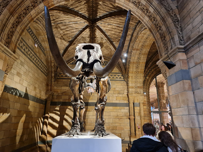 The Natural History Museum - London