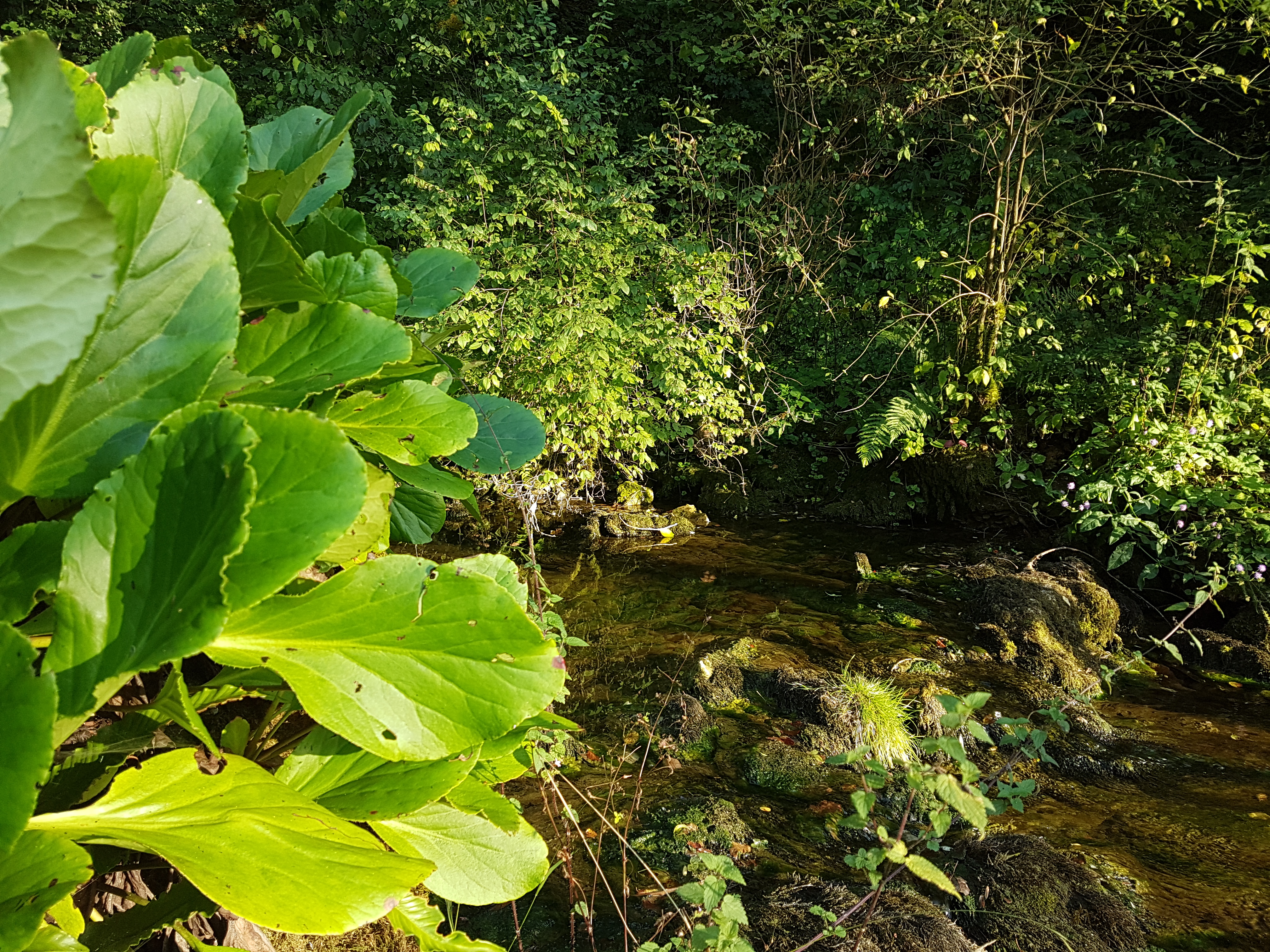 Photo n° 7 de l'avis de Stéphane.a fait le 19/08/2018 à 18:55