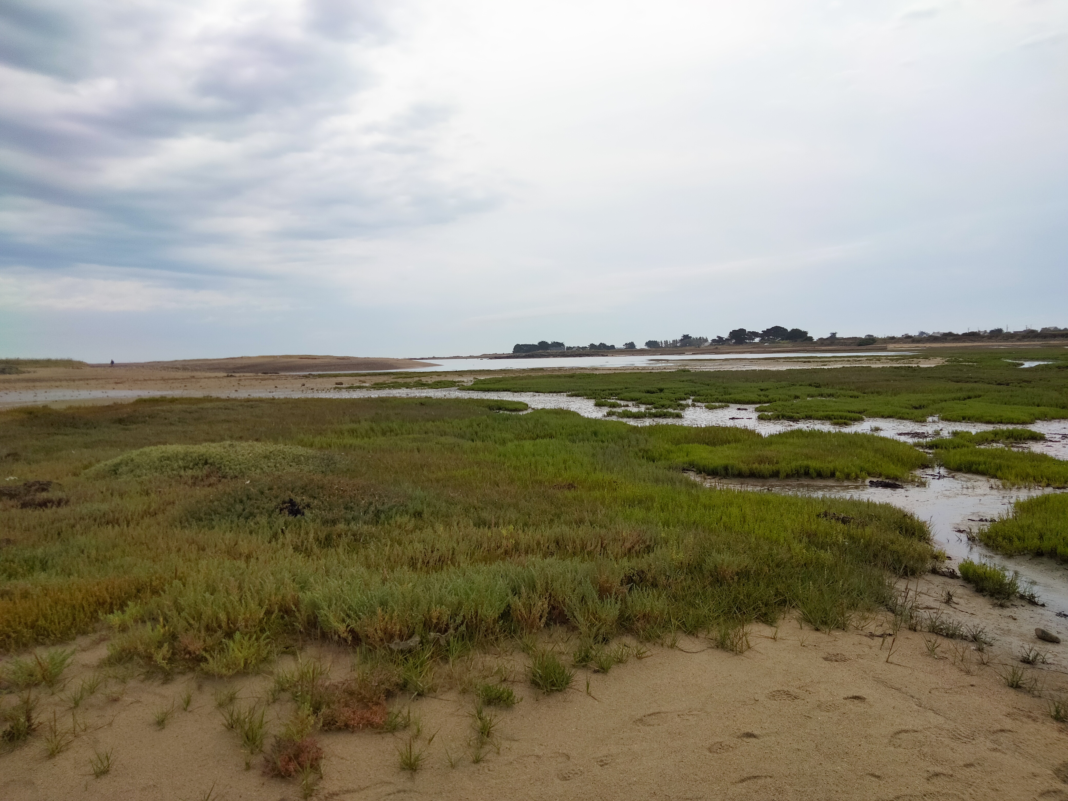 Photo n° 2 de l'avis de Carole.o fait le 25/08/2023 à 18:51