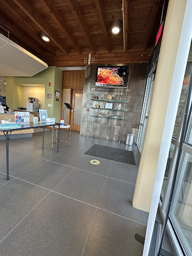 Find tattoo ideas chest for your next unique tattoo in Vancouver at Salmon Creek Plastic Surgery