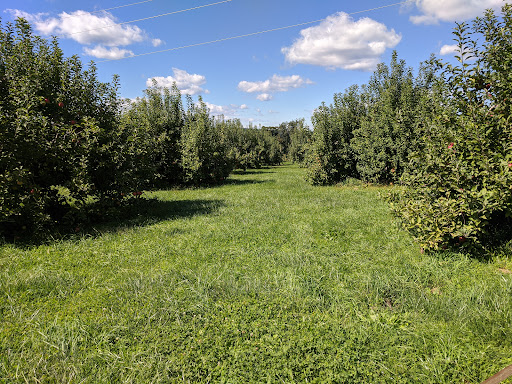 Orchard «Riamede Farm», reviews and photos, 122 Oakdale Rd, Chester, NJ 07930, USA