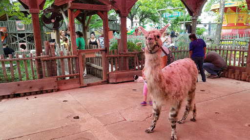 Theme Park «Frontier City Theme Park», reviews and photos, 11501 N I- 35 Service Rd, Oklahoma City, OK 73131, USA