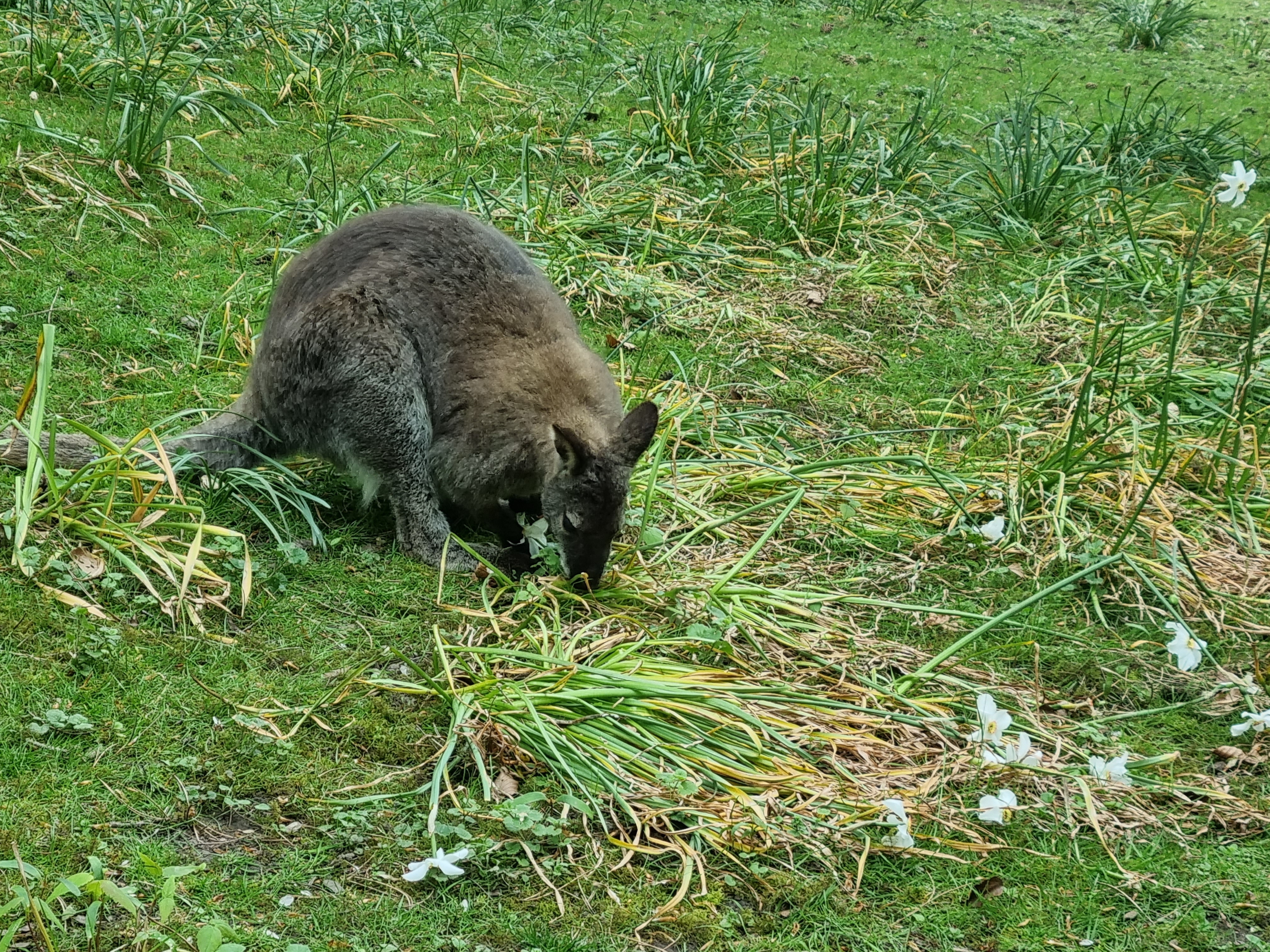 Photo n° 1 de l'avis de marine.l fait le 06/05/2023 à 21:25