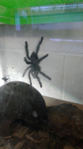 Tropical Fish Store «Fishy Business», reviews and photos, 911 E Church St, Lexington, TN 38351, USA