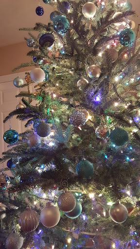 Shopping Mall «Addison Mall», reviews and photos, 2970 W Addison St, Chicago, IL 60618, USA