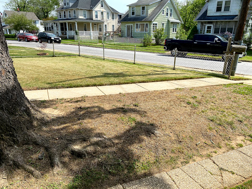 Hardware Store «Lehman Hardware, Inc.», reviews and photos, 5921 Belair Rd, Baltimore, MD 21206, USA