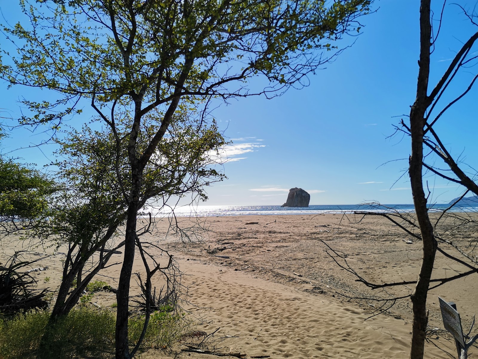 Naranjo beach'in fotoğrafı düz ve uzun ile birlikte