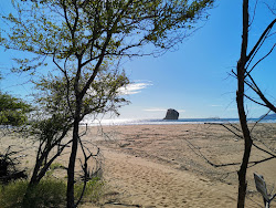 Foto di Naranjo beach con costa lunga e dritta