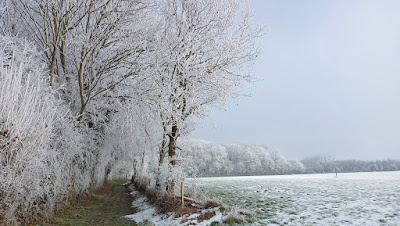 Forêt de Gournay à Fleury-la-Forêt