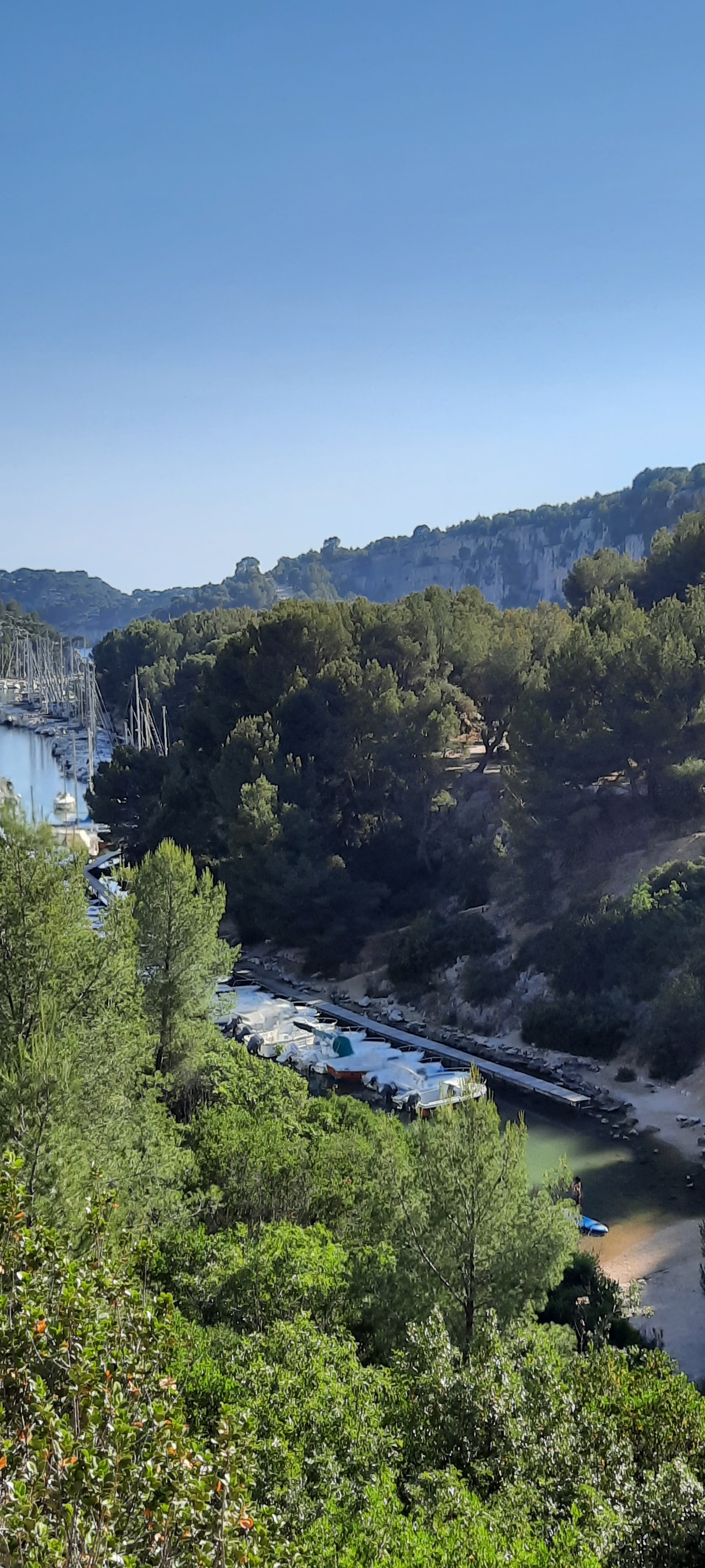 Photo n° 1 de l'avis de Martial.o fait le 14/06/2021 à 05:26