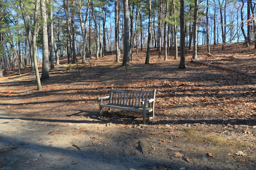 Park «Town of Arlington Menotomy Rocks Park», reviews and photos, 129 Jason St, Arlington, MA 02476, USA