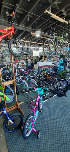 Bicycle Repair Shop «Chicagoland Bicycle Trek Bicycles», reviews and photos, 10355 S Kedzie Ave, Chicago, IL 60655, USA